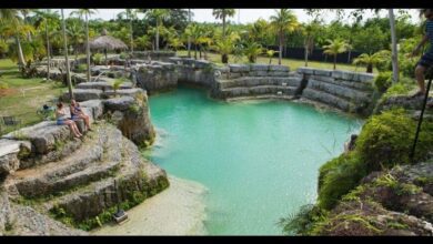 Blue Lagoon Farm Miami