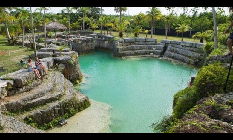 Blue Lagoon Farm Miami