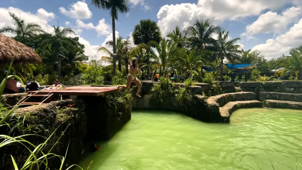 Blue Lagoon Farm Miami