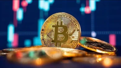 FintechZoom on Bitcoin Price