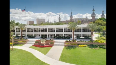 The University of Tampa