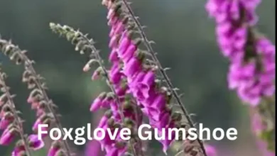 Foxglove Gumshoe