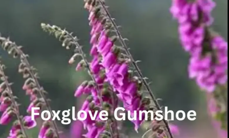 Foxglove Gumshoe