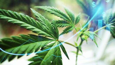 5StarsStocks.com Cannabis