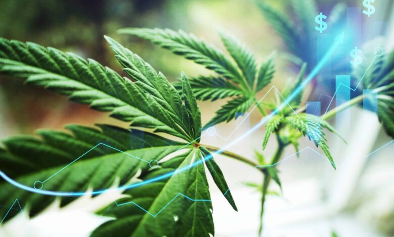 5StarsStocks.com Cannabis
