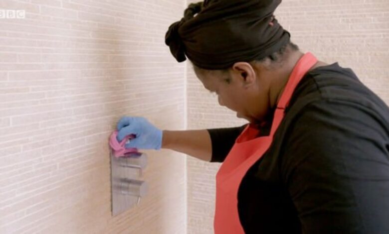 Maxine Dwyer Cleaning Tips