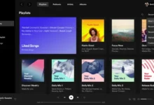 Spotify - Web Player: Music for Everyone