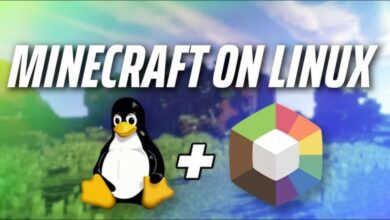 PlugboxLinux Minecraft