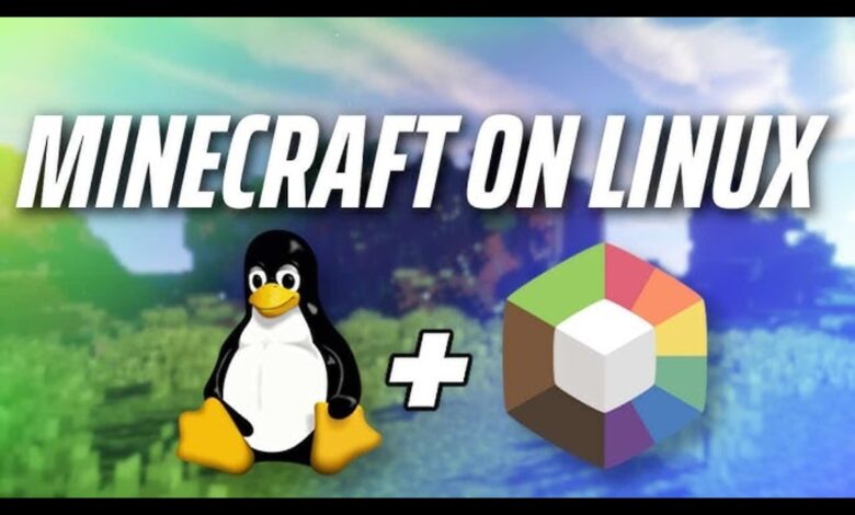 PlugboxLinux Minecraft