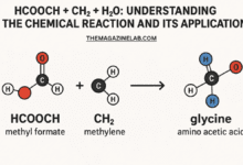 HCOOCH + CH2 + H2O