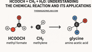 HCOOCH + CH2 + H2O